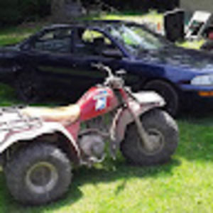 Meet your Posher, William